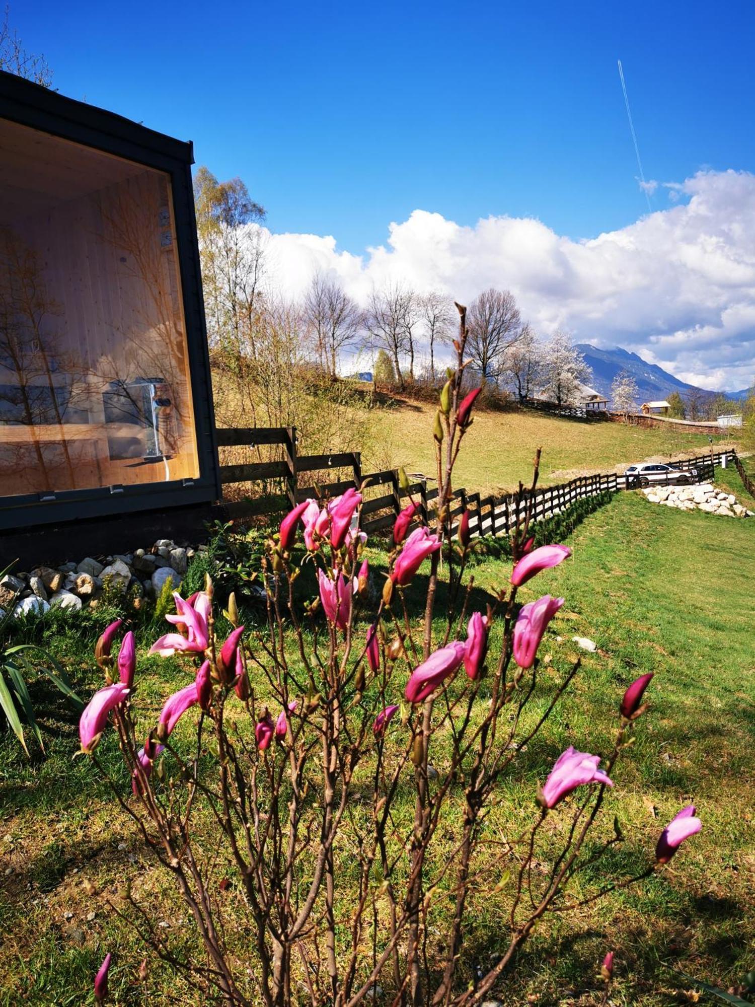 Doza De Verde Retreat&Spa Bran-Adults Only Sohodol  Exterior foto